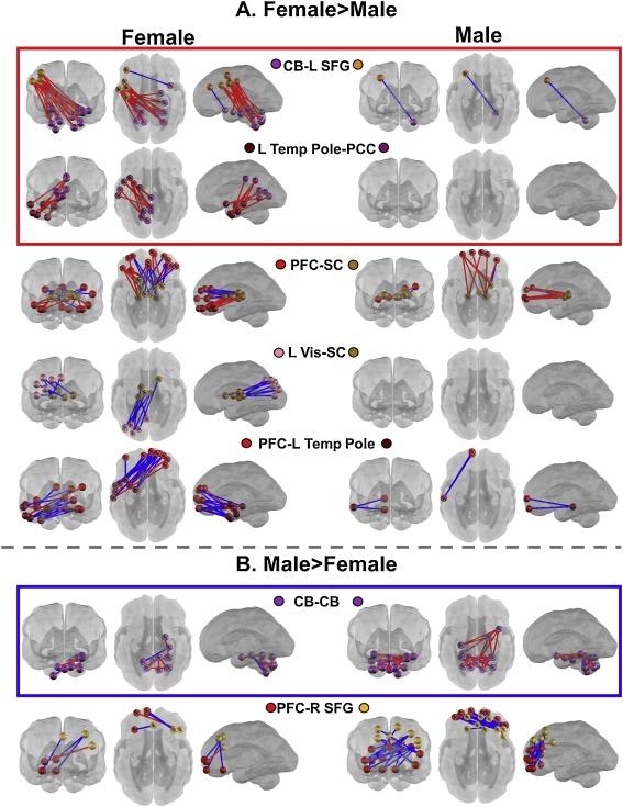 /media/texts/kdyz-veda-vyvraci-genderovou-ideologii/gender-difference-prenatal-brain-fc.jpg
